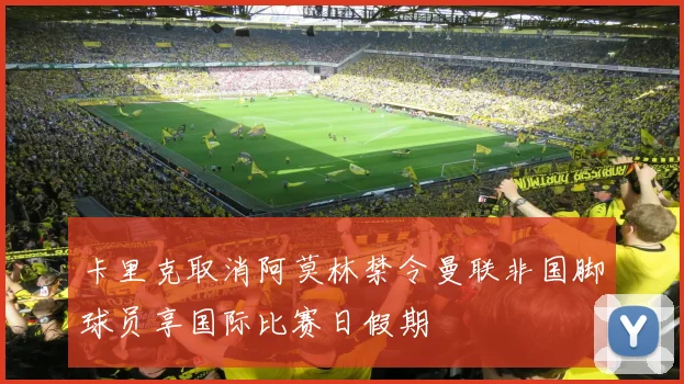 卡里克取消阿莫林禁令曼联非国脚球员享国际比赛日假期