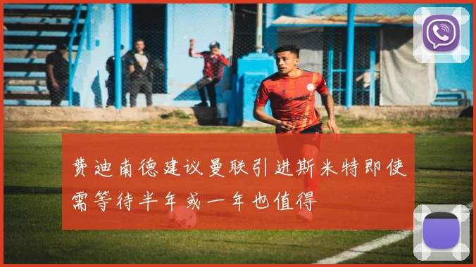 费迪南德建议曼联引进斯米特即使需等待半年或一年也值得