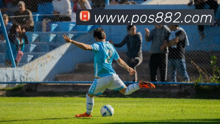 九游网页平台官网平台生态图